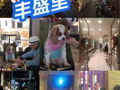 -丰盛里