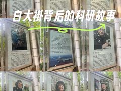 -中国人民解放军总医院