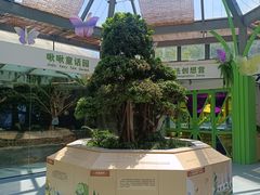 -宁波儿童公园(鄞州区)