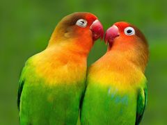 -1点点(望京SOHO店)