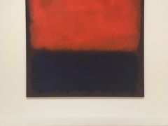 -旧金山现代艺术博物馆