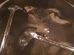 -润园四季椰子鸡火锅(海上世界店)
