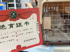 -派特宠物医院(圆融广场店)