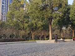 -南翔镇银翔湖公园