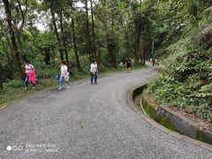 -广州市帽峰山景区