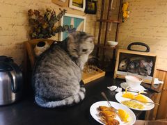 -隅cafe(傅厚岗店)