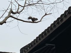 -茅家埠