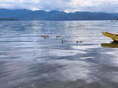 -丽江泸沽湖景区