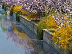 -海棠花溪(元大都城垣遗址公园)