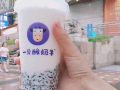 -一只酸奶牛(八一路店)