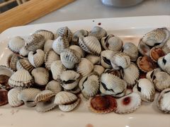 -华盛丰温州大排档(东三环南路店)