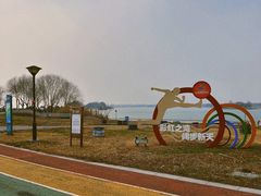 -贡湖湾湿地公园