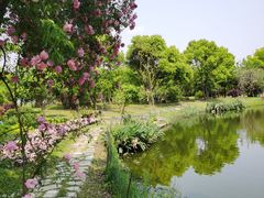-鹅湖玫瑰文化园