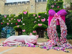 -青岛方特梦幻王国