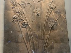 -湖南省地质博物馆