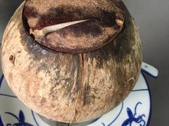原只椰子炖鹌鹑-達揚原味燉品(文明路店)