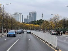 -洲头咀公园