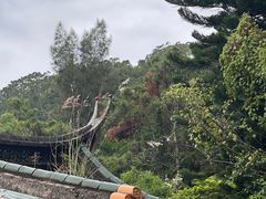 -草庵摩尼教遗址公园