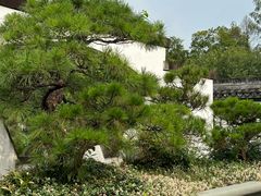 -杭州植物园