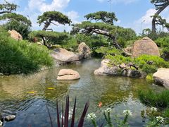 -罗红摄影艺术馆