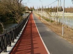 -上海长兴岛郊野公园