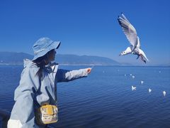 -小普陀