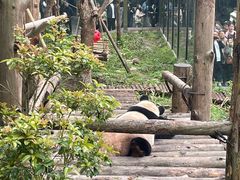 -黔灵山公园