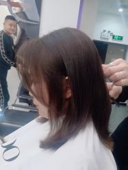 -YESIDO椰岛造型
