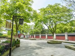 -观潮胜地公园