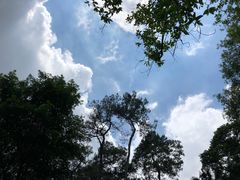 -大洋图文(流花店)