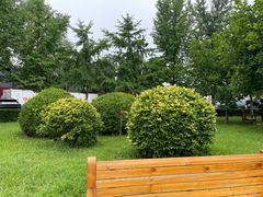 -北京德尔康尼骨科医院