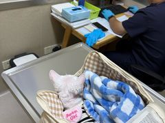 -爱妮康宠物医院·干细胞免疫细胞·肿瘤·心脏(张江店)