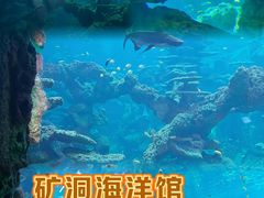-长鹿旅游休博园
