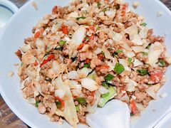 酸包菜肉泥-壹盏灯(惠农店)