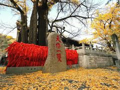 -红螺寺