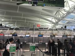 -约翰·菲茨杰拉德·肯尼迪国际机场