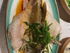-大榕树下顺德菜(融创茂店)