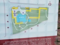 -嘉定紫藤园