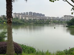 -枫香湖儿童公园
