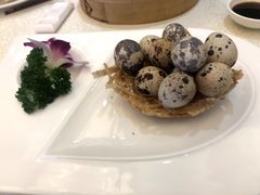 -龙悦湾酒家·八阵鱼生·渔人码头店