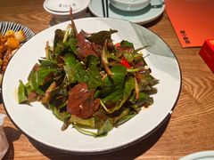 -蓉城小馆(科兴店)