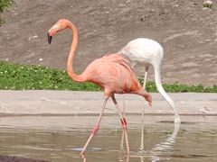 -哈尔滨北方森林动物园