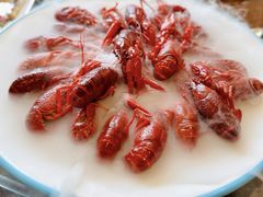 -杨氏青龙虾·羊蝎子(珠江路店)