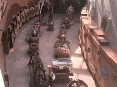 -陕西自然博物馆