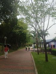 -深圳市儿童乐园