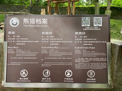 -都江堰中华大熊猫苑