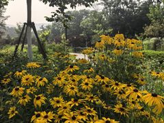 -青岛海滨风景区