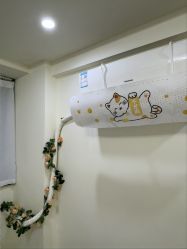 -斐尔国际皮肤管理中心