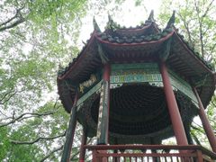 -乌山风景区