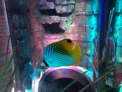 -沈阳海洋探索中心